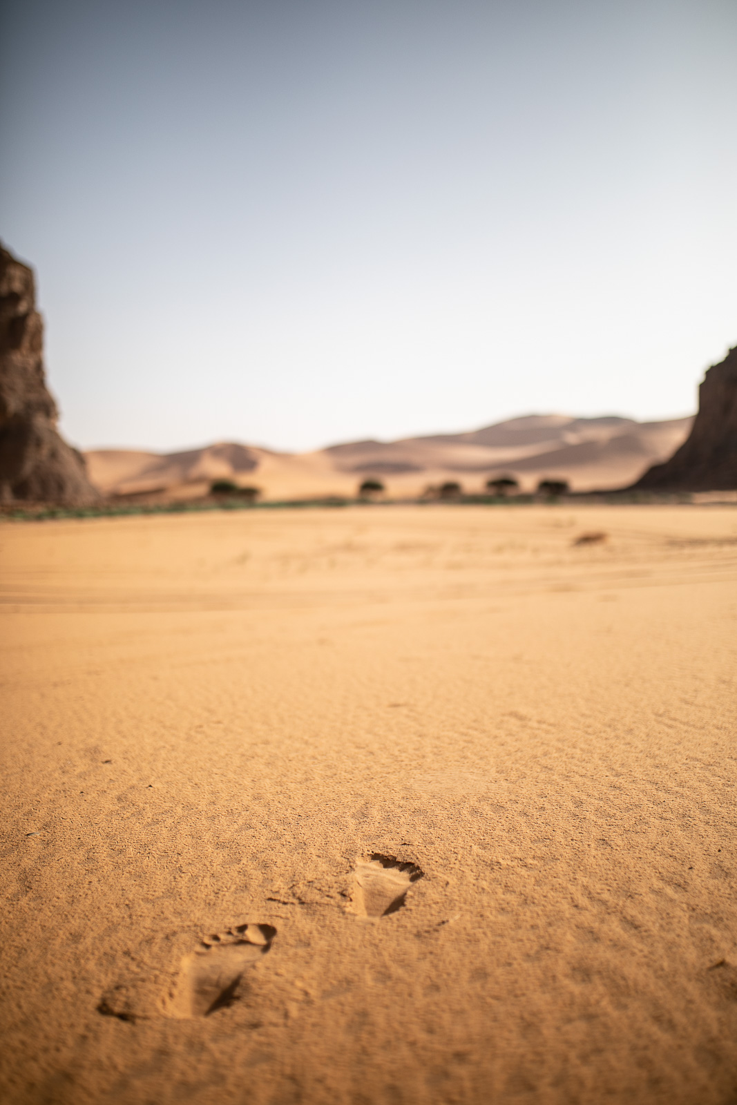 Human & Nature  outoftime 64